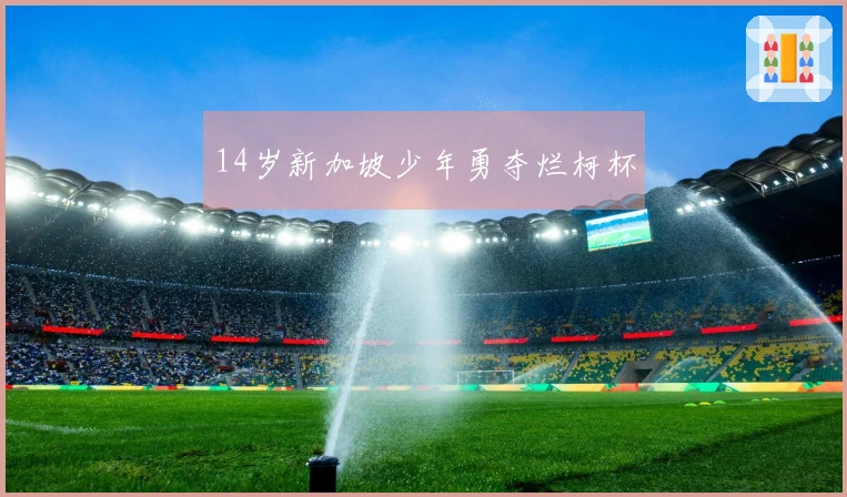 14岁新加坡少年勇夺烂柯杯