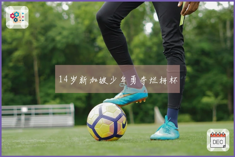 14岁新加坡少年勇夺烂柯杯