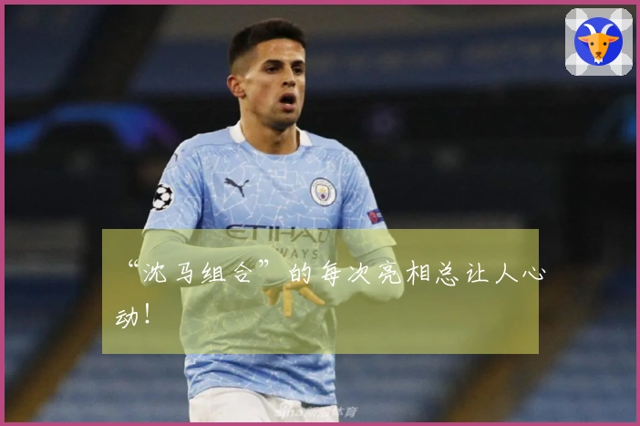 “沈马组合”的每次亮相总让人心动！